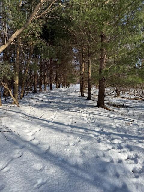 Warner Road photo 4