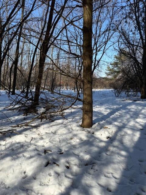 Warner Road photo 5