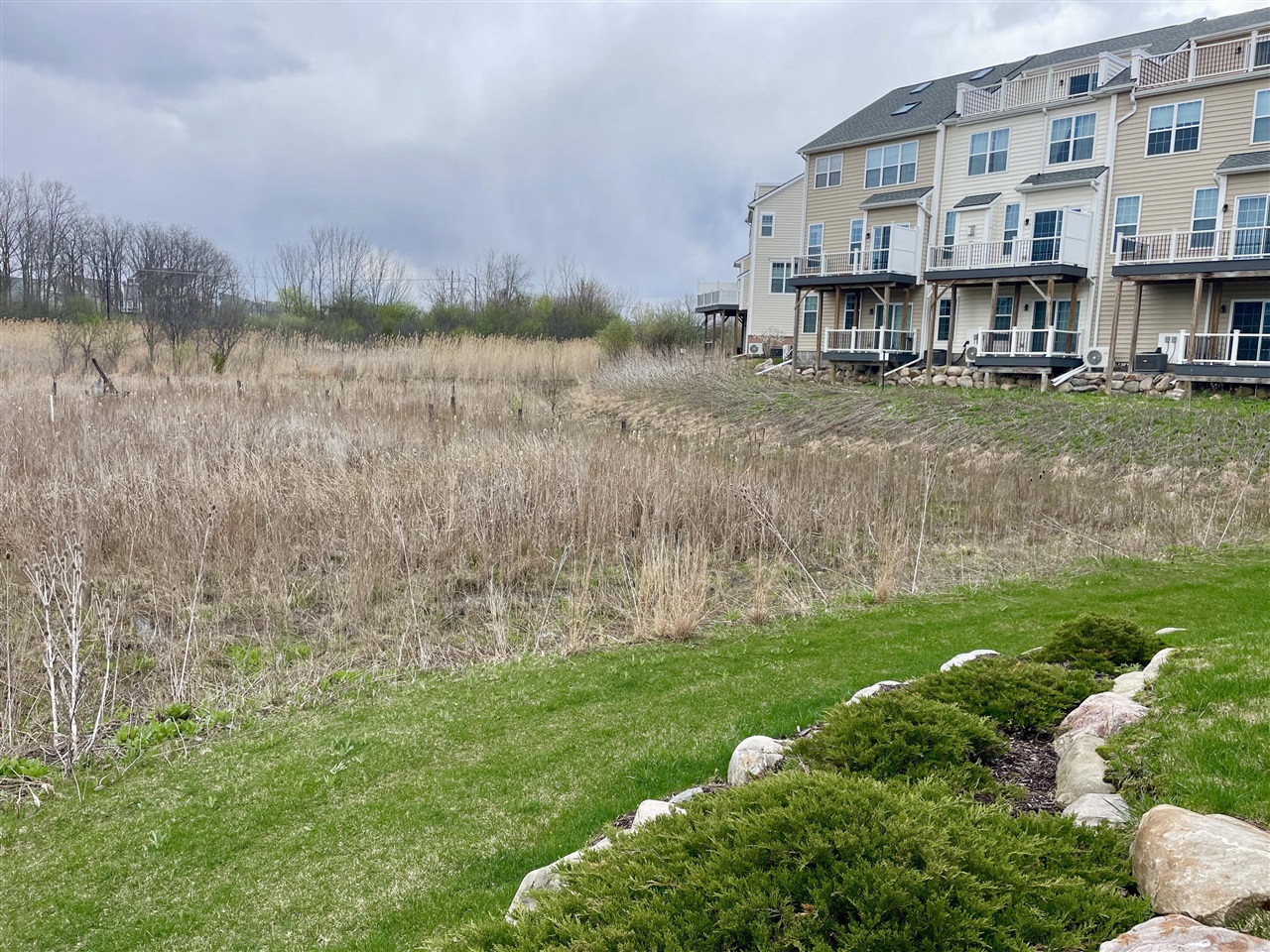 2822 Purley Avenue, Ann Arbor, MI, 48105-2295