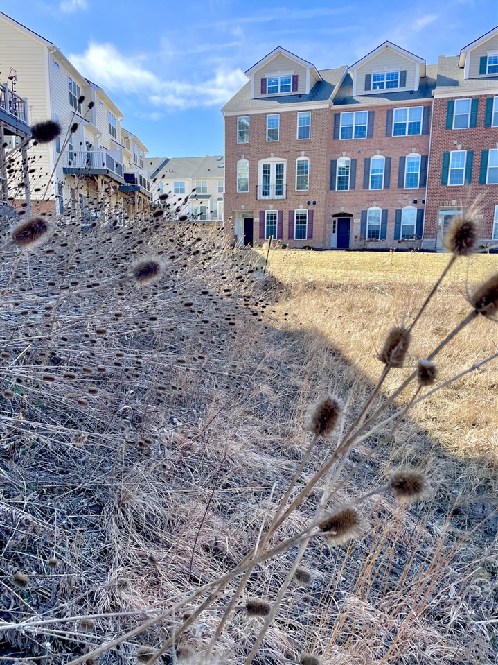 2822 Purley Avenue, Ann Arbor, MI, 48105-2295