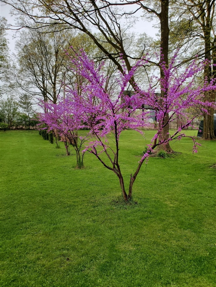 130 South Street, Schoolcraft, MI, 49087-9715