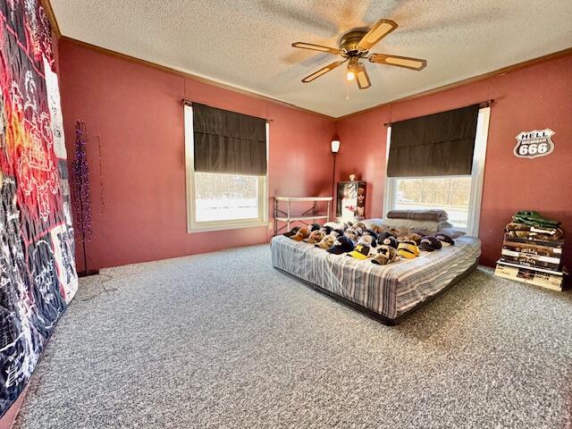 440 E Francis Street, Nashville, MI, 49073-9236