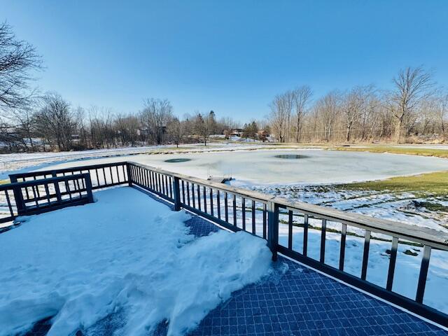 440 E Francis Street, Nashville, MI, 49073-9236