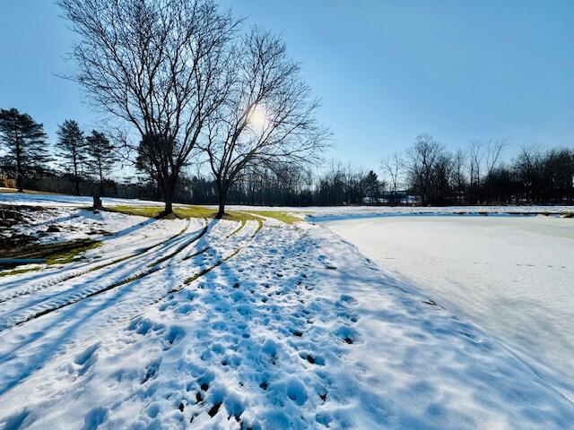 440 E Francis Street, Nashville, MI, 49073-9236