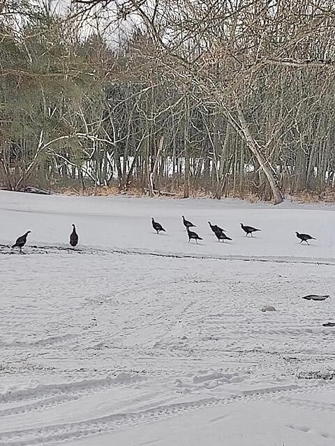 440 E Francis Street, Nashville, MI, 49073-9236