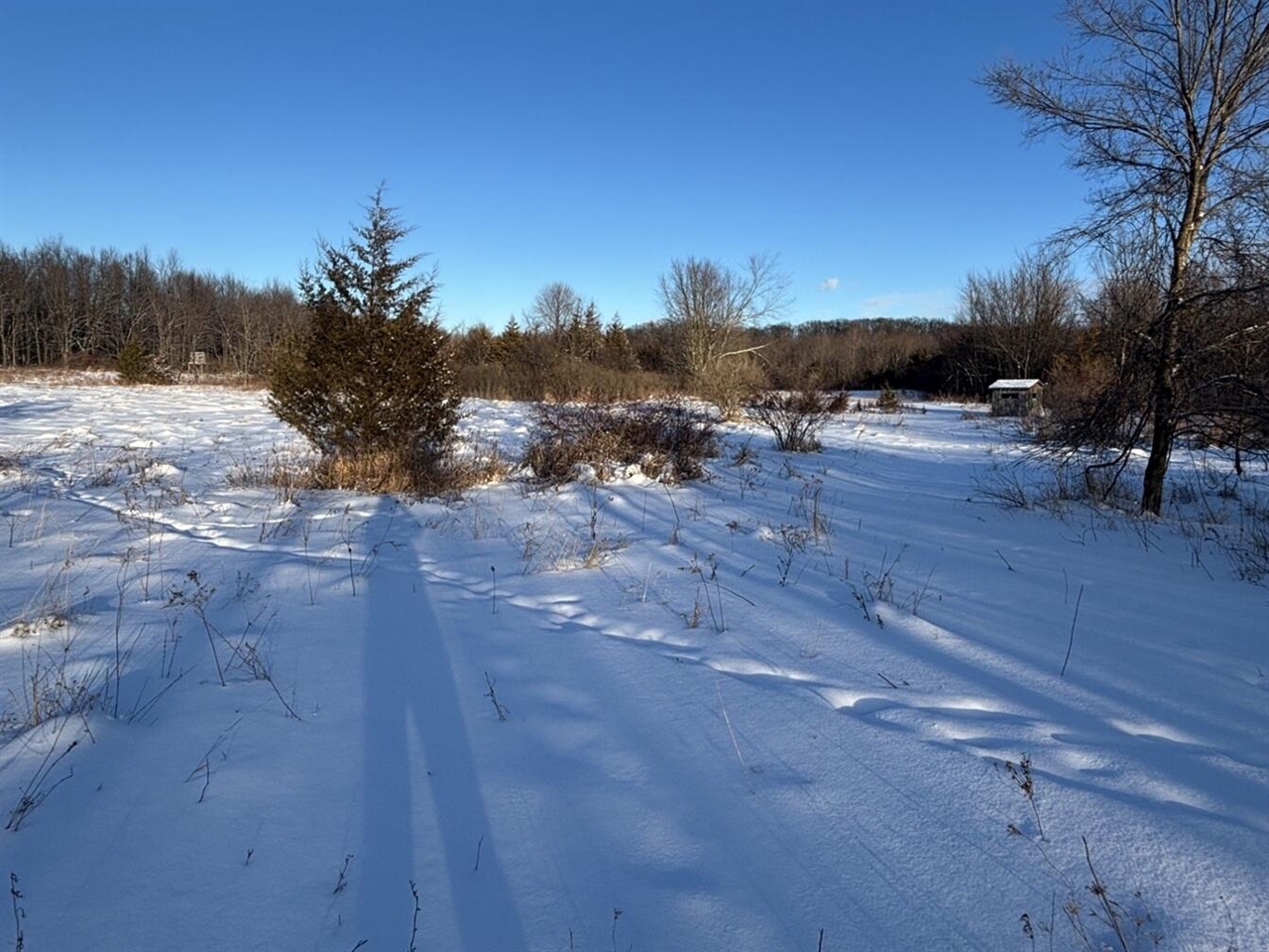 Photo of property for sale at 6711 S Tripp Road, Osseo MI 49266-9757
