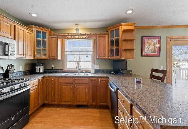 1689 Morning Dew Drive, Byron Center, MI, 49315-8440