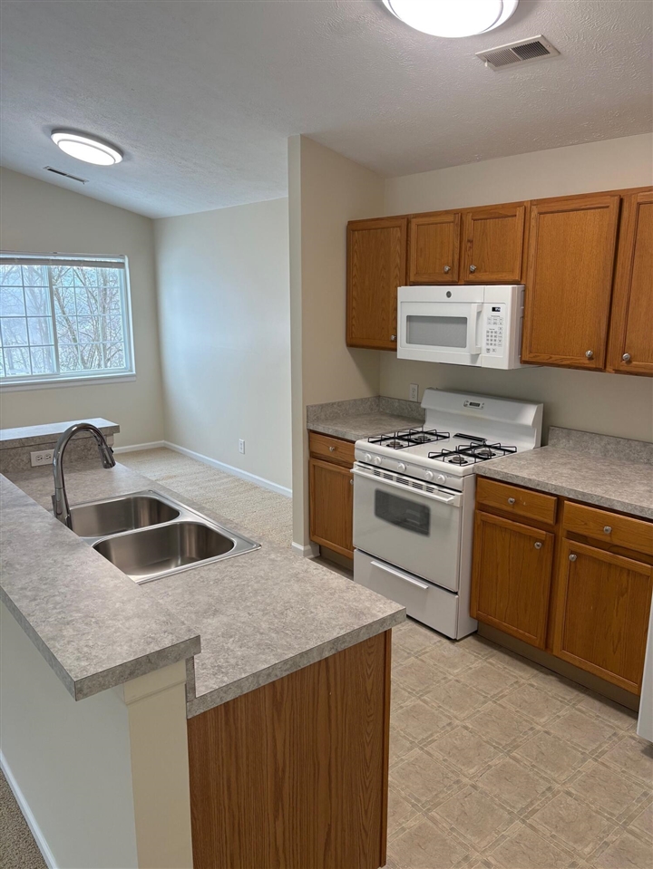  UNIT 30, Rockford, MI, 49341-49341