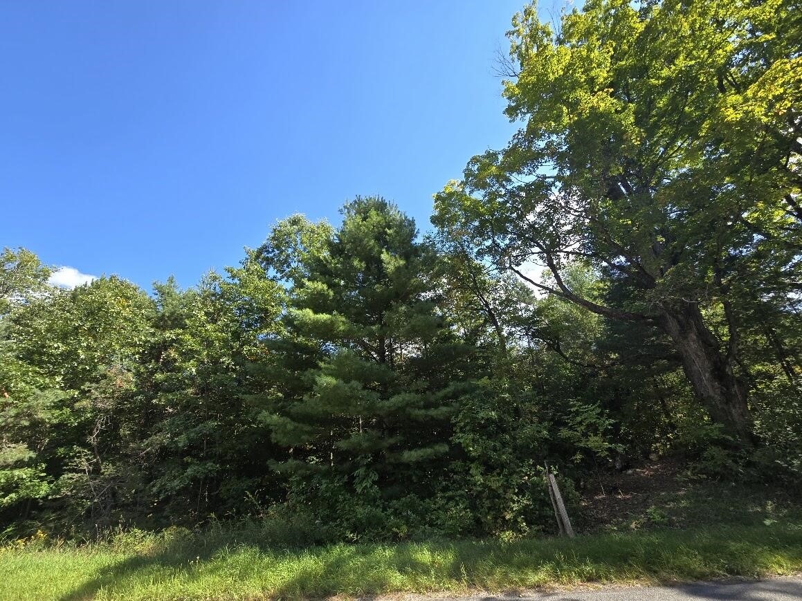 Photo of property for sale at 00 N Hawkins Road, Luther MI 49656