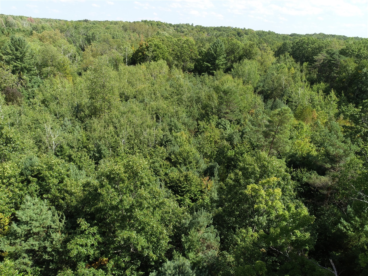 00 N Hawkins Road, Luther, MI, 49656