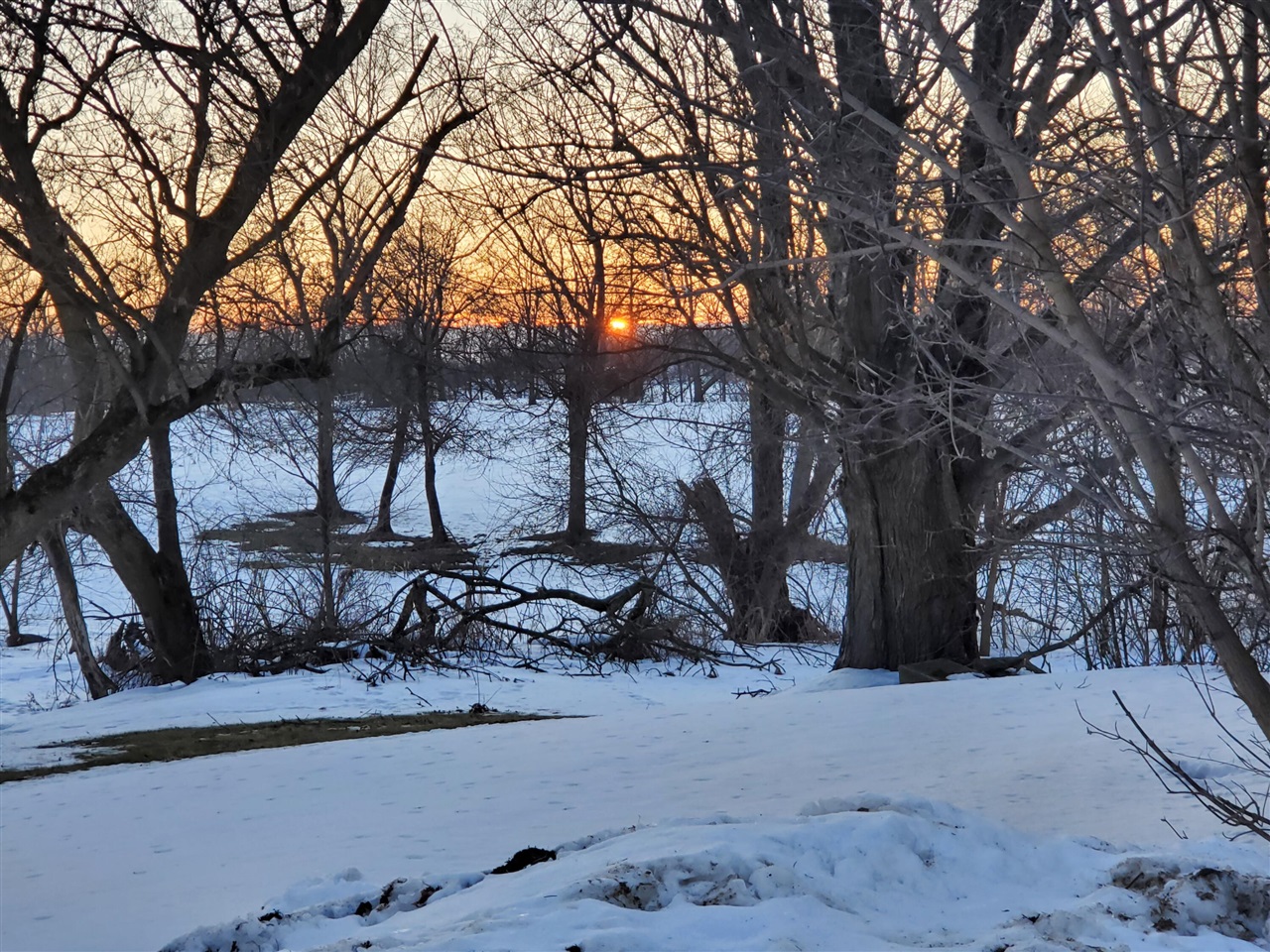 10798 Pleasant Lake Road, Delton, MI, 49046-9562