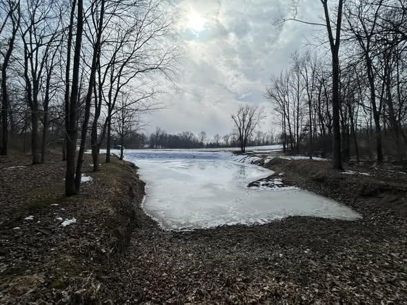 5018 S Rumsey Road, Pittsford, MI, 49271-8606