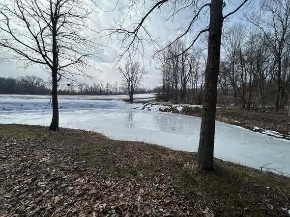 5018 S Rumsey Road, Pittsford, MI, 49271-8606