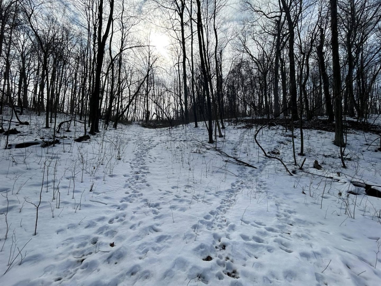 5018 S Rumsey Road, Pittsford, MI, 49271-8606