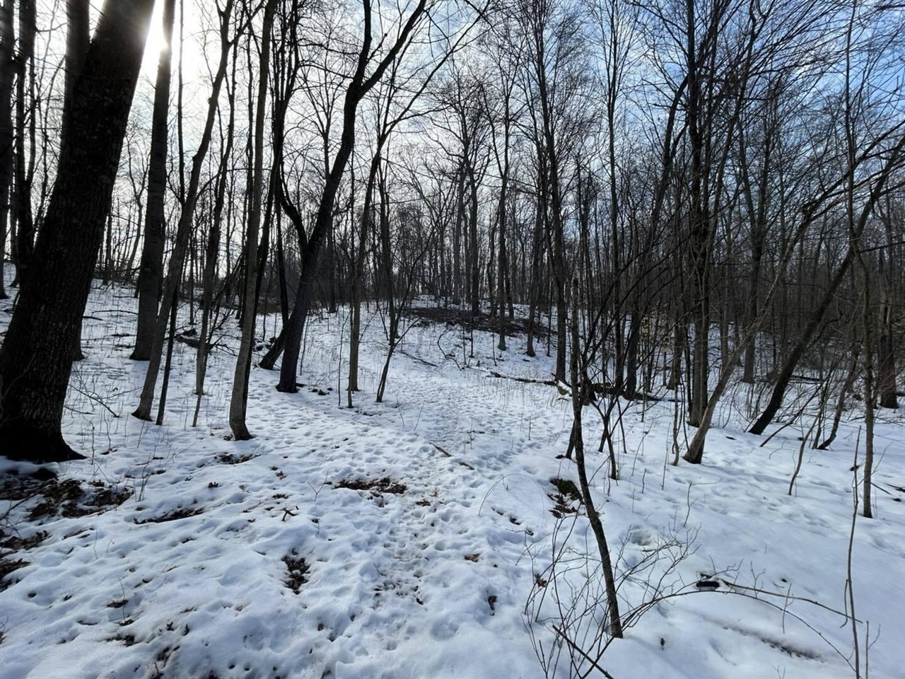 5018 S Rumsey Road, Pittsford, MI, 49271-8606