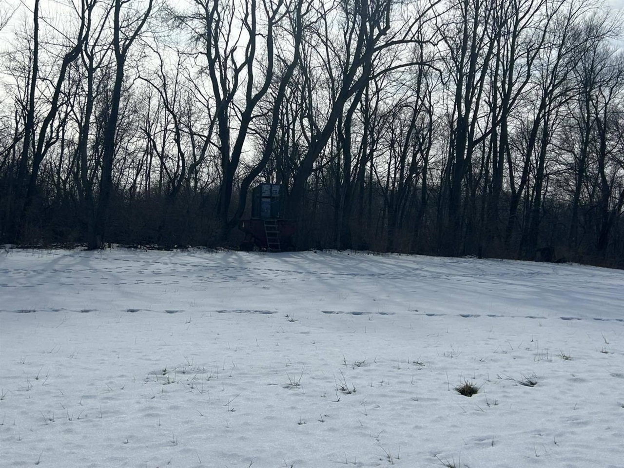 5018 S Rumsey Road, Pittsford, MI, 49271-8606