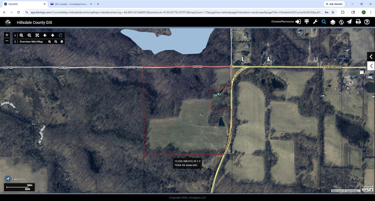 5018 S Rumsey Road, Pittsford, MI, 49271-8606