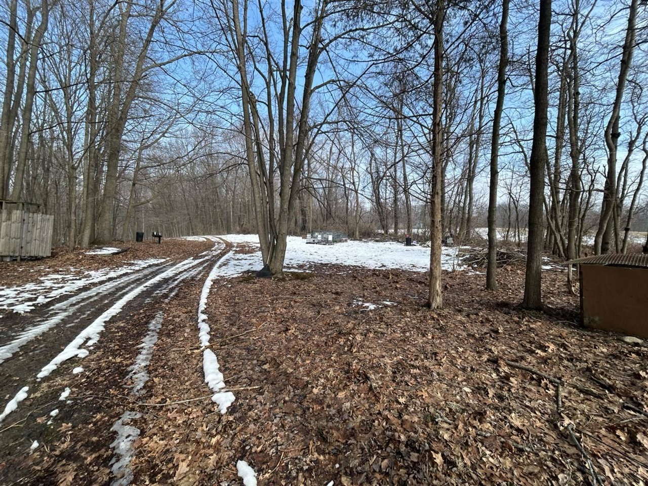 5018 S Rumsey Road, Pittsford, MI, 49271-8606