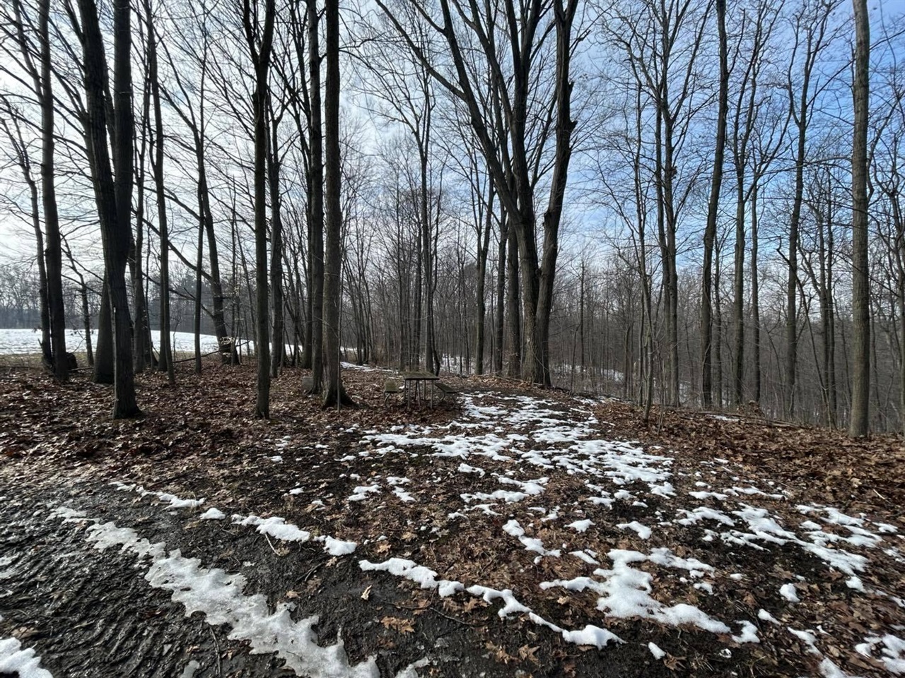 5018 S Rumsey Road, Pittsford, MI, 49271-8606