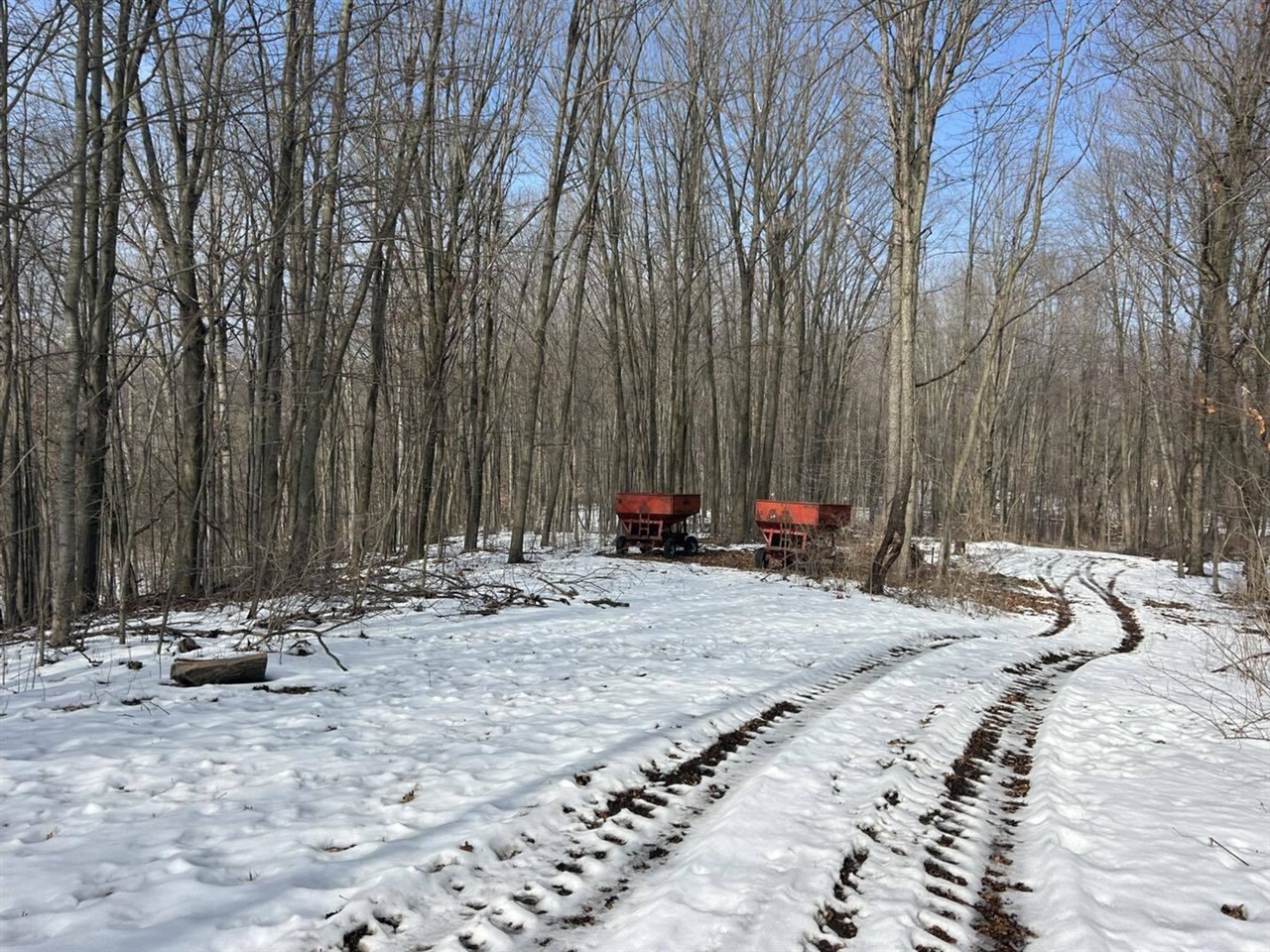 5018 S Rumsey Road, Pittsford, MI, 49271-8606