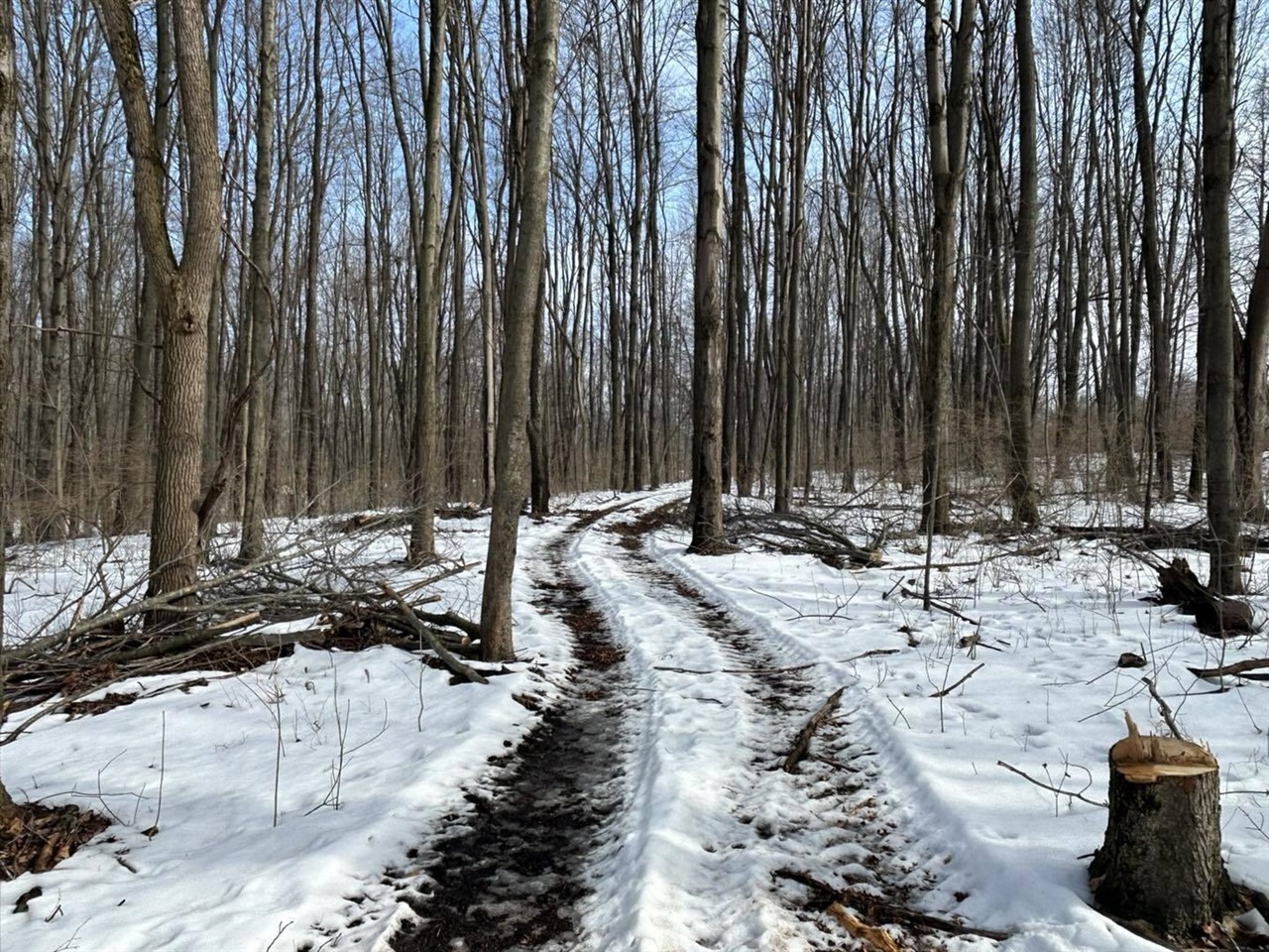 5018 S Rumsey Road, Pittsford, MI, 49271-8606