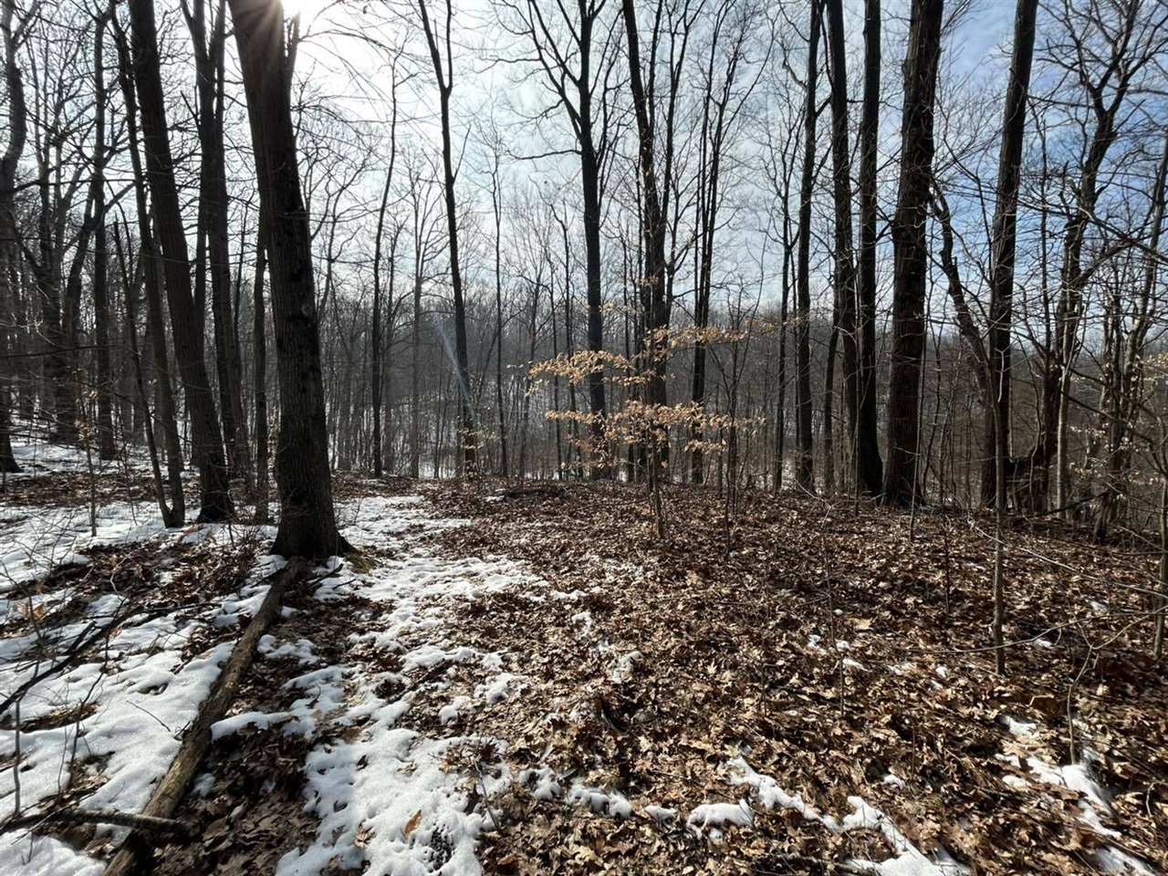 5018 S Rumsey Road, Pittsford, MI, 49271-8606