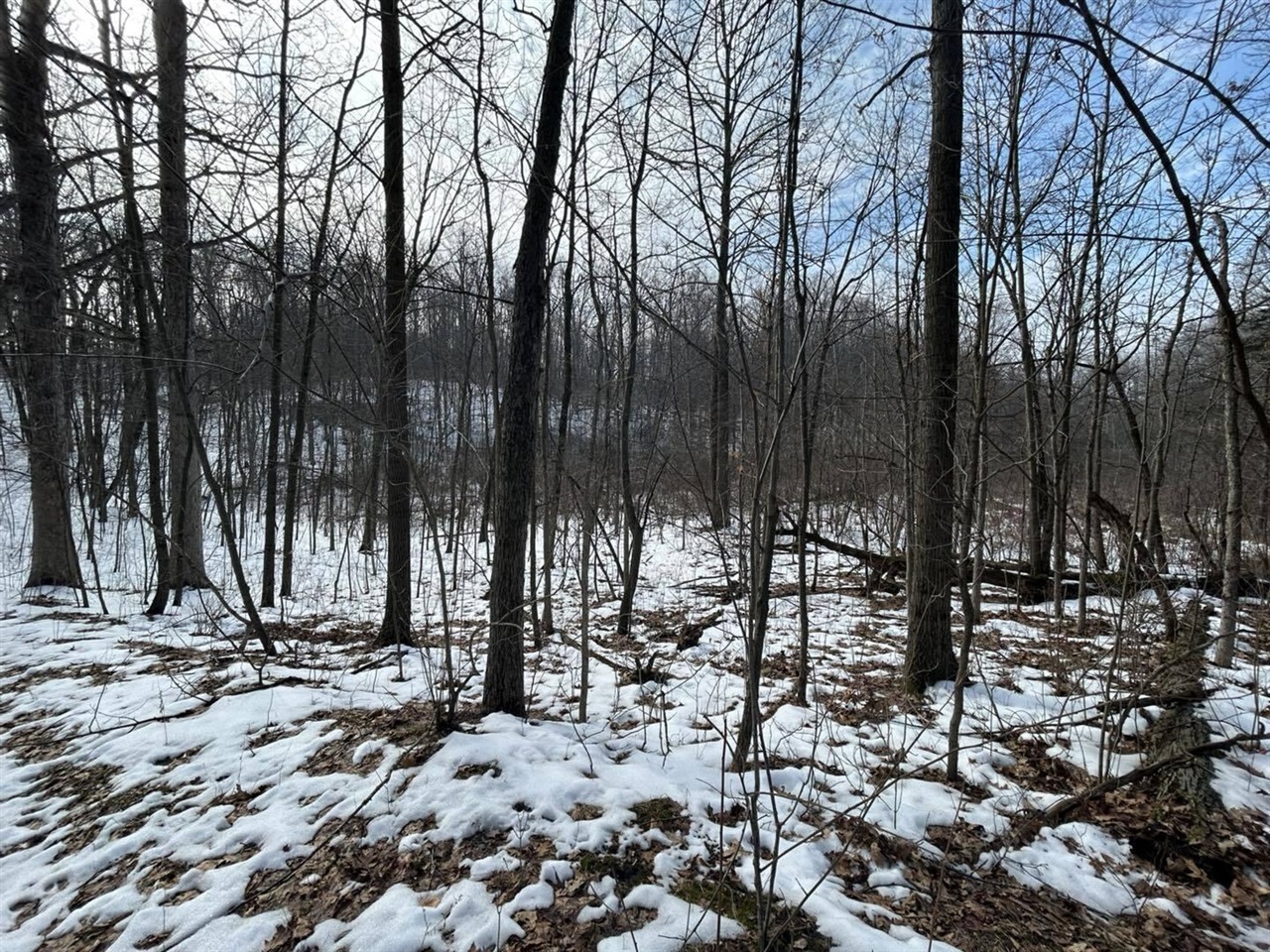 5018 S Rumsey Road, Pittsford, MI, 49271-8606