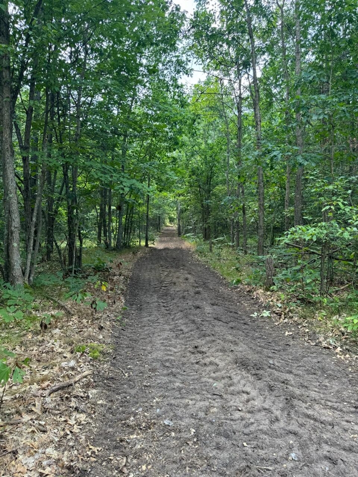 1st image of V/l Dexter Rd, Wellston, MI 49689 | MLS# 70515479