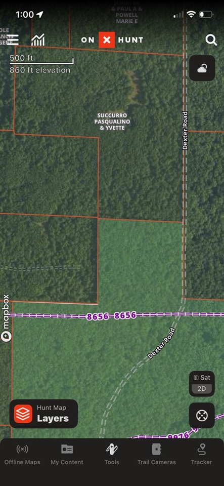 22nd image of V/l Dexter Rd, Wellston, MI 49689 | MLS# 70515479