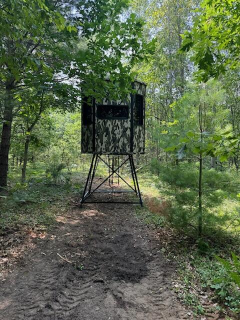 4th image of V/L Dexter Rd, Wellston, MI 49689 | MLS# 70515479