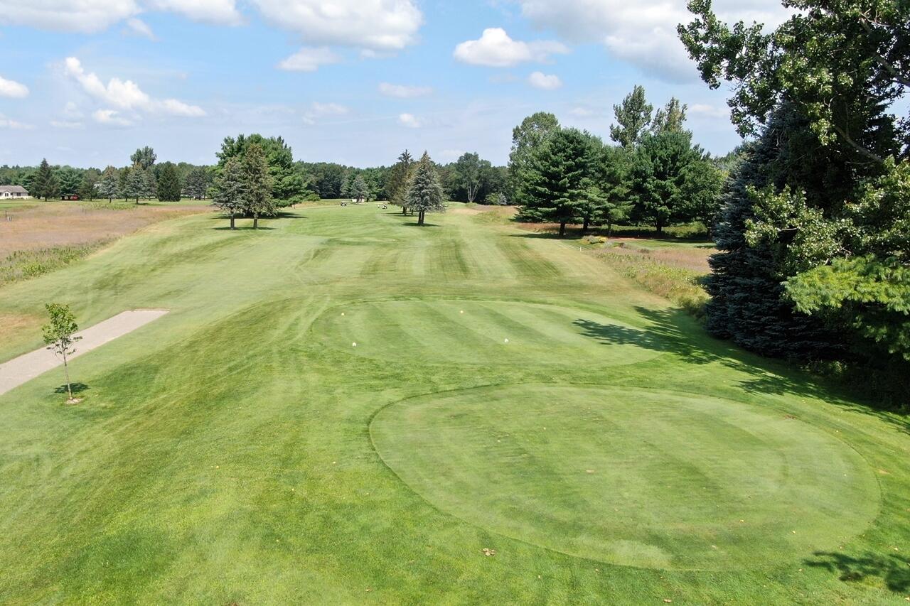 9772 Kellys Ct., Canadian Lakes, MI, 49346