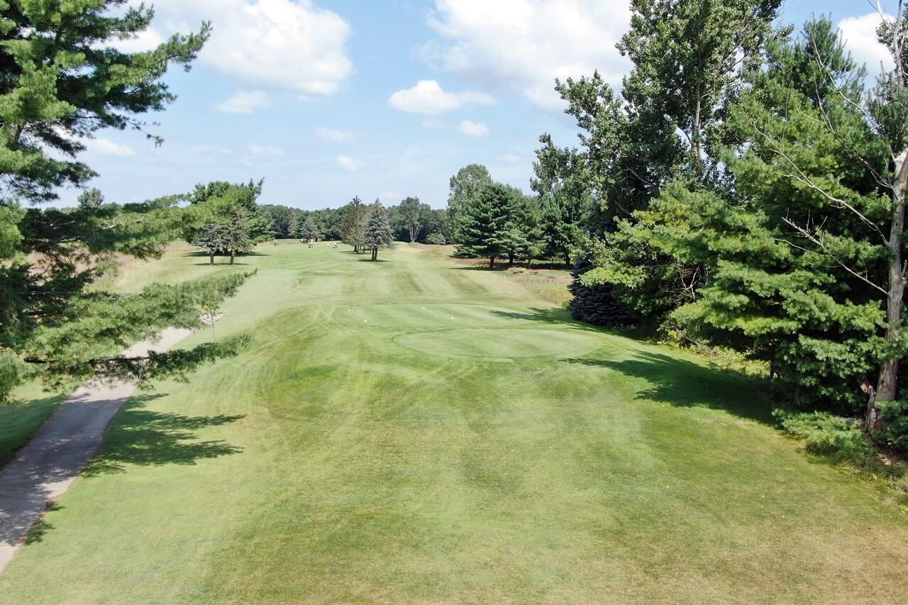 9772 Kellys Ct., Canadian Lakes, MI, 49346