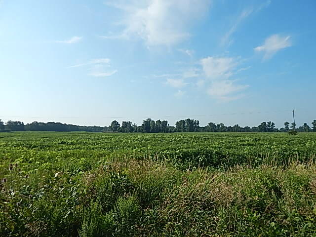 1611 E Hyde Road, Saint Johns, MI, 48879
