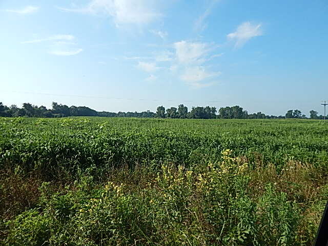 1611 E Hyde Road, Saint Johns, MI, 48879