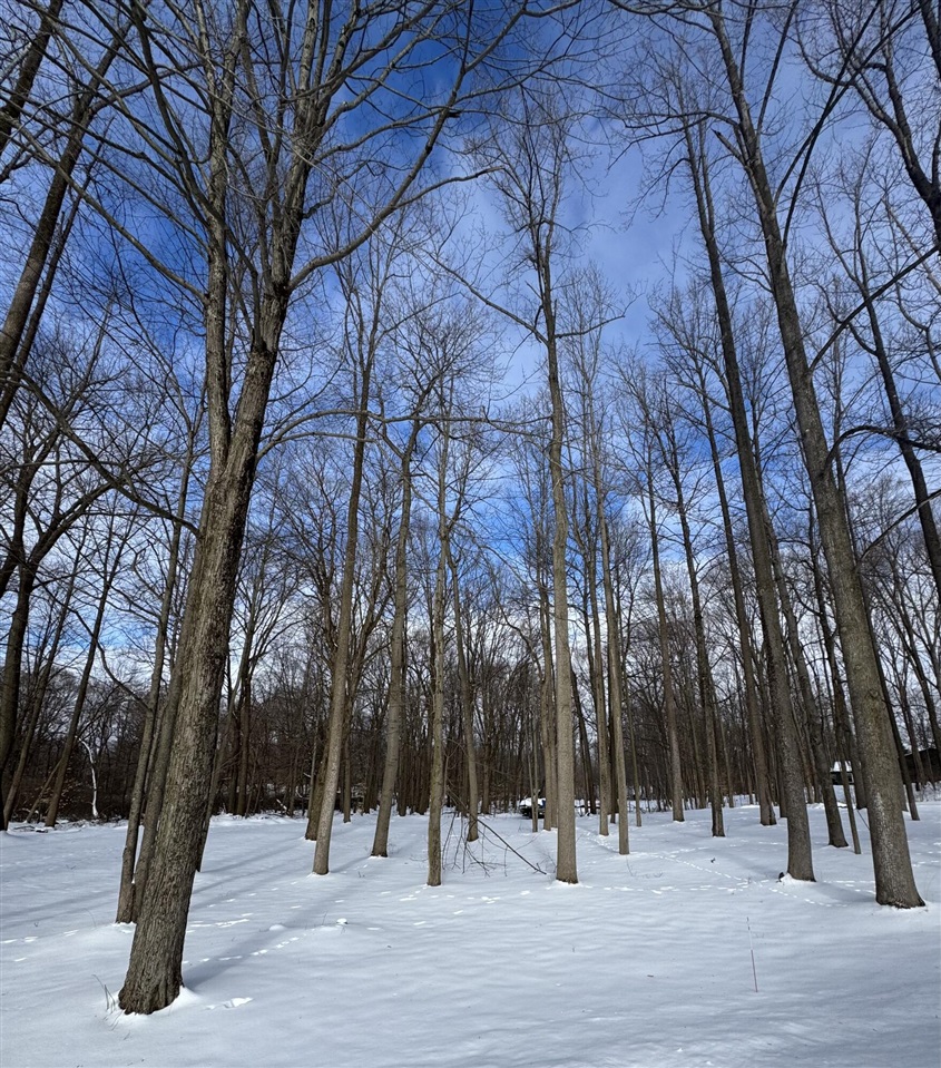 V/L Timberlane Drive, Jones, MI, 49061-9701