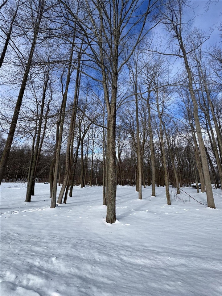 V/L Timberlane Drive, Jones, MI, 49061-9701