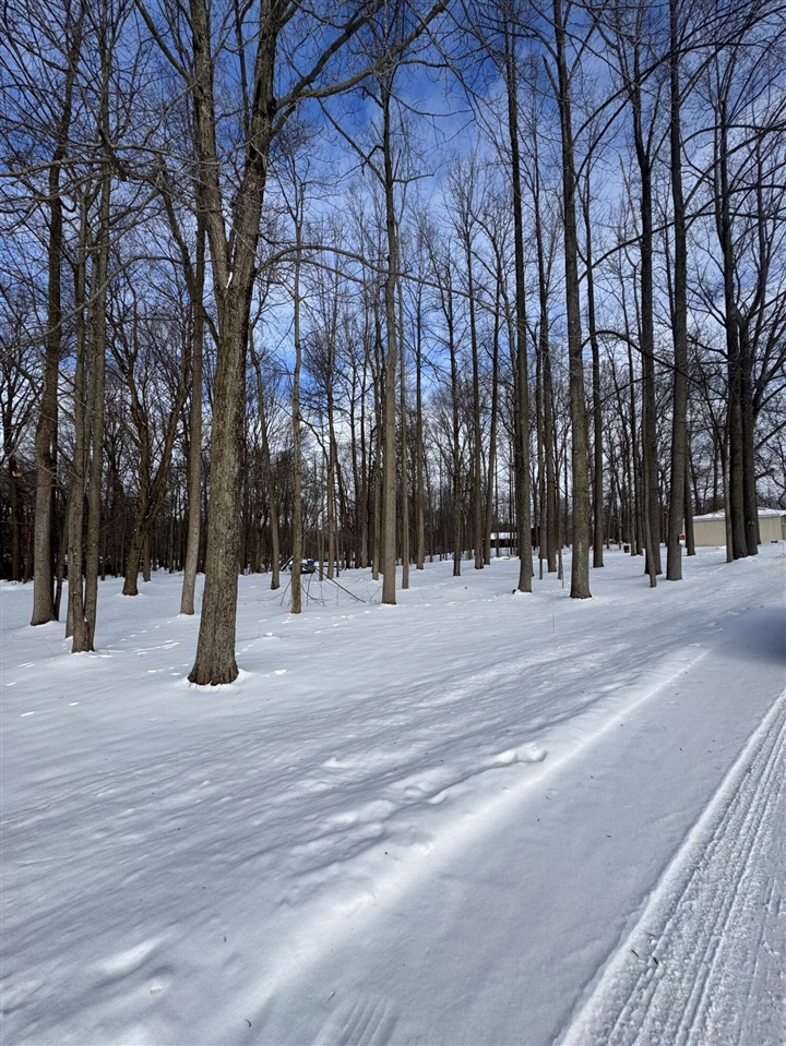 V/L Timberlane Drive, Jones, MI, 49061-9701