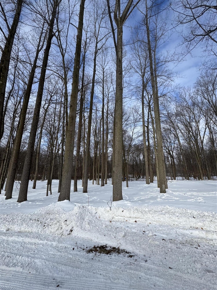 V/L Timberlane Drive, Jones, MI, 49061-9701