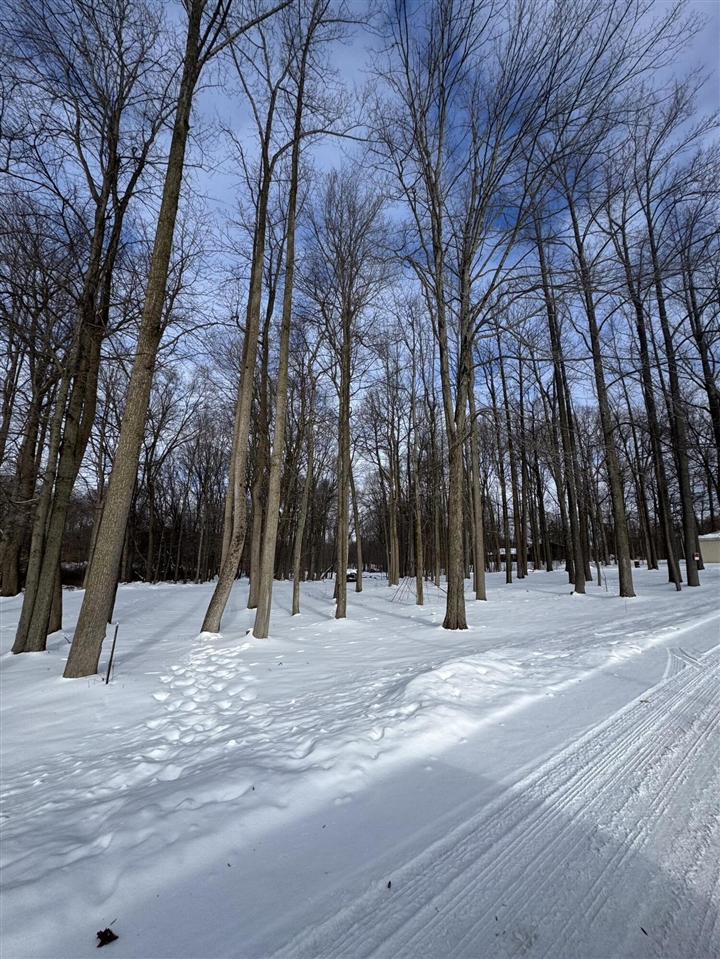 V/L Timberlane Drive, Jones, MI, 49061-9701