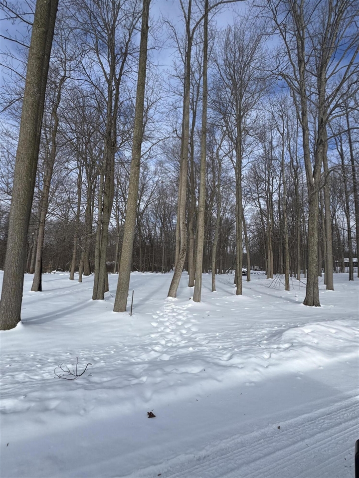 V/L Timberlane Drive, Jones, MI, 49061-9701