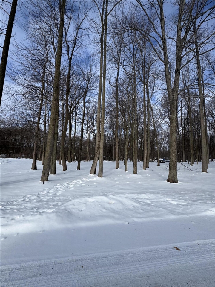 V/L Timberlane Drive, Jones, MI, 49061-9701