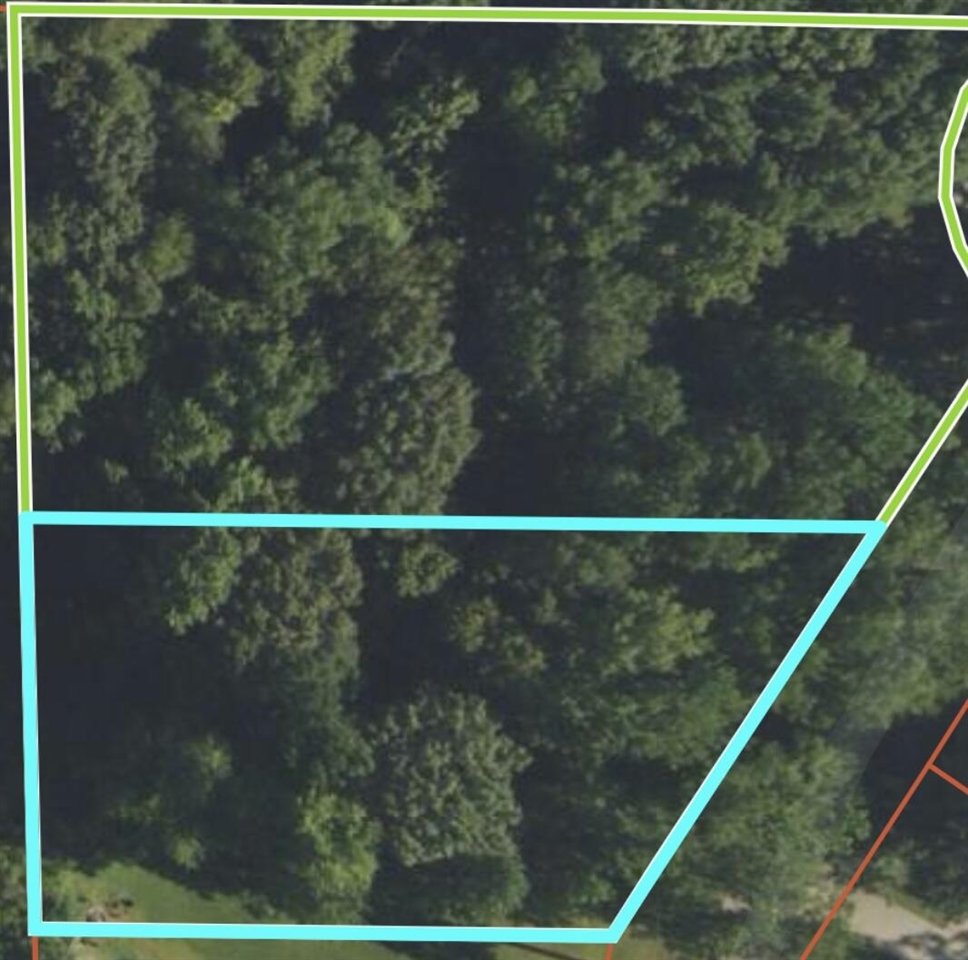 V/L Timberlane Drive, Jones, MI, 49061-9701