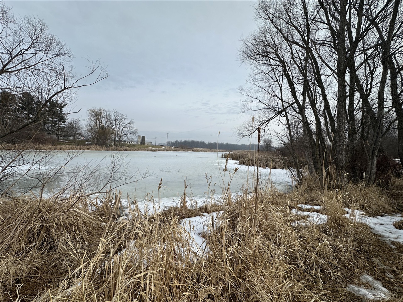 7231 Onsted Highway, Onsted, MI, 49265-9759