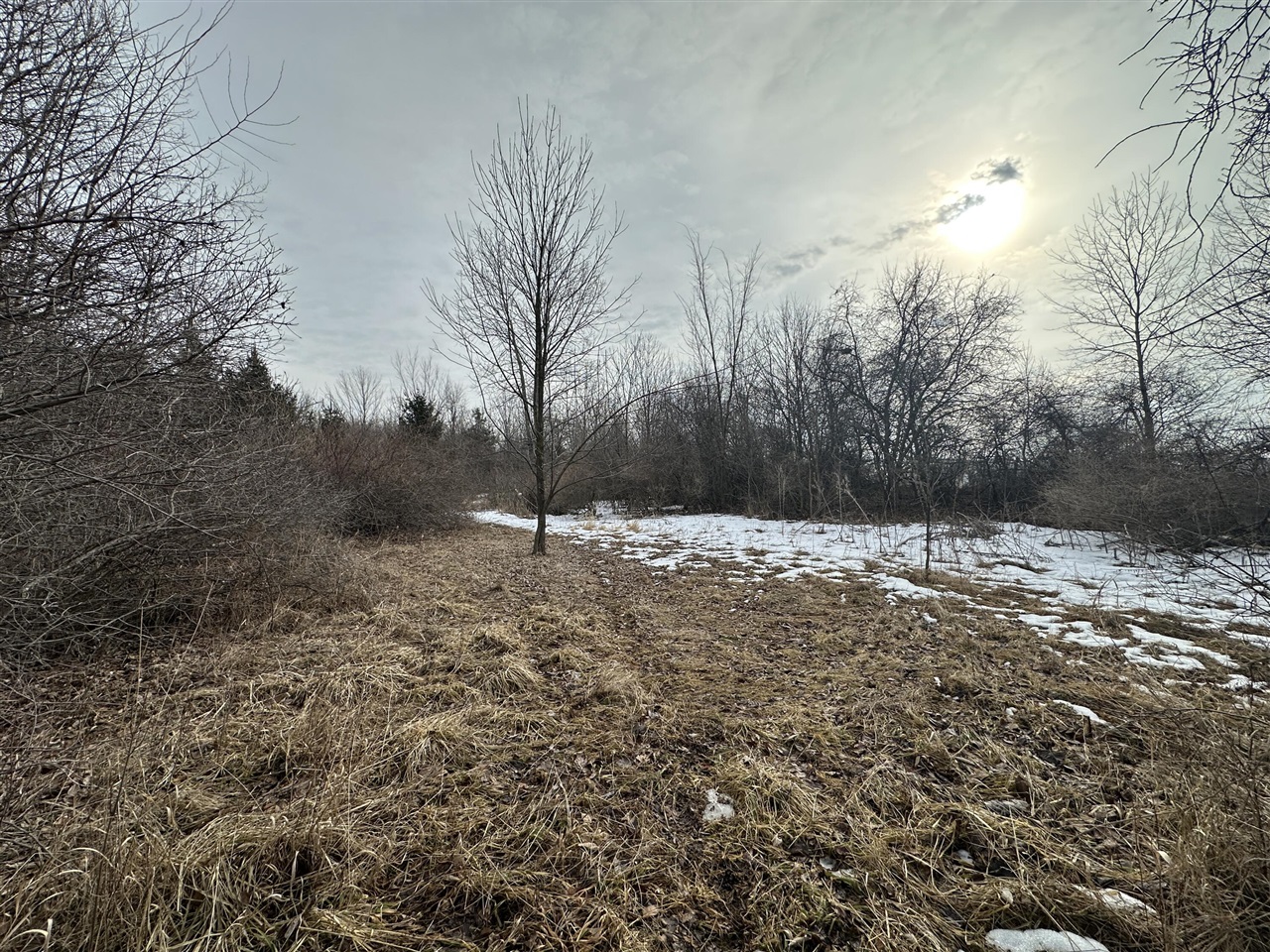 7231 Onsted Highway, Onsted, MI, 49265-9759