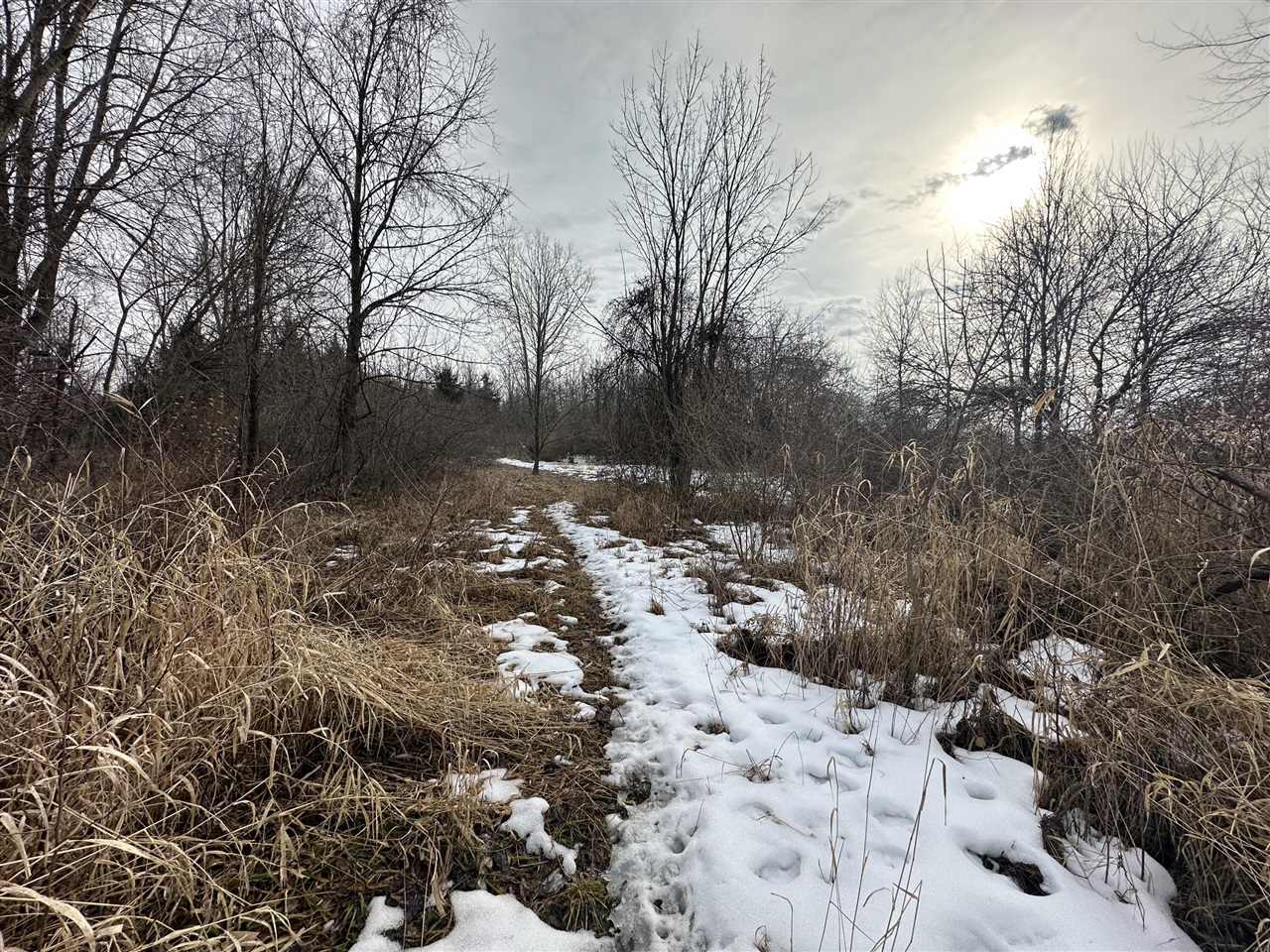7231 Onsted Highway, Onsted, MI, 49265-9759