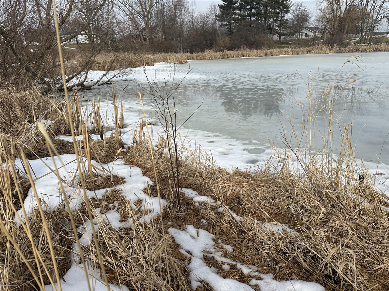 7231 Onsted Highway, Onsted, MI, 49265-9759