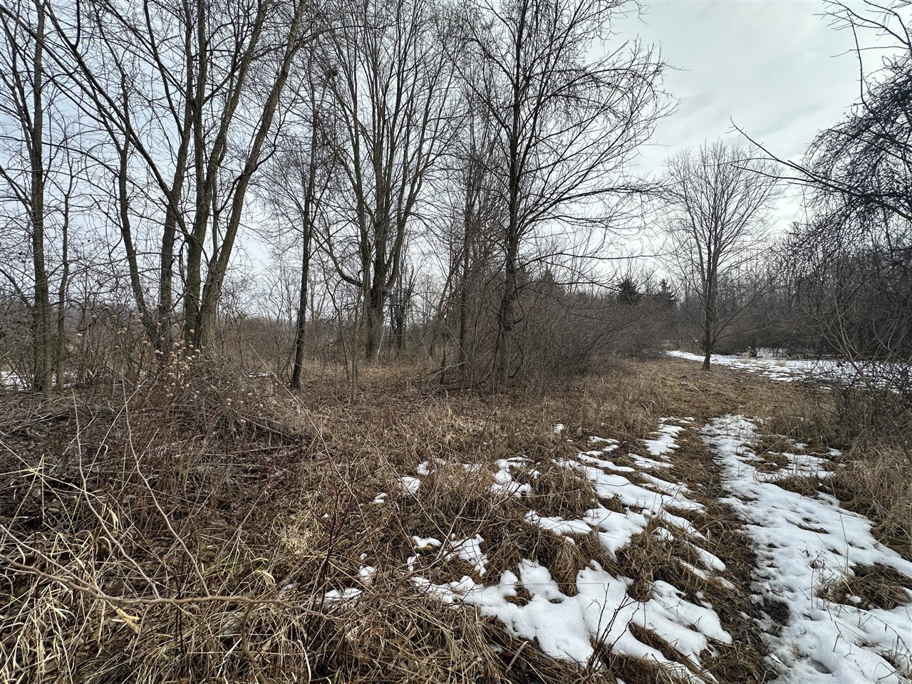 7231 Onsted Highway, Onsted, MI, 49265-9759