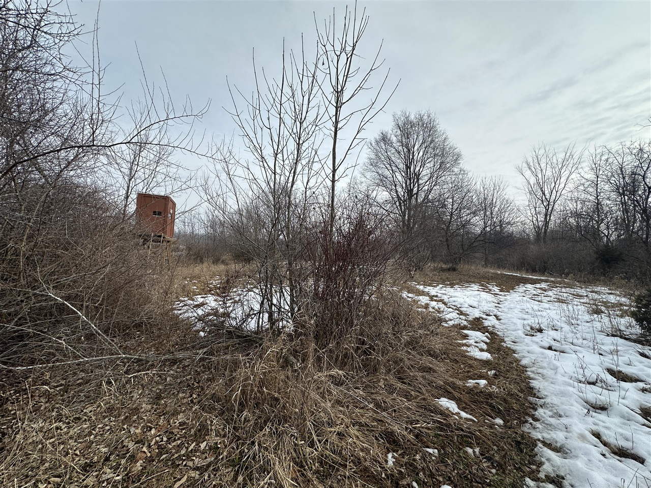 7231 Onsted Highway, Onsted, MI, 49265-9759