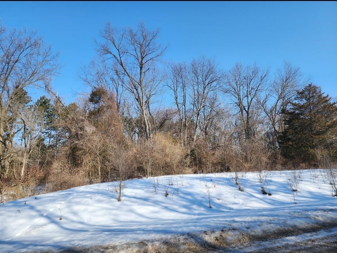 Shorewood Drive Lot 2 photo 1