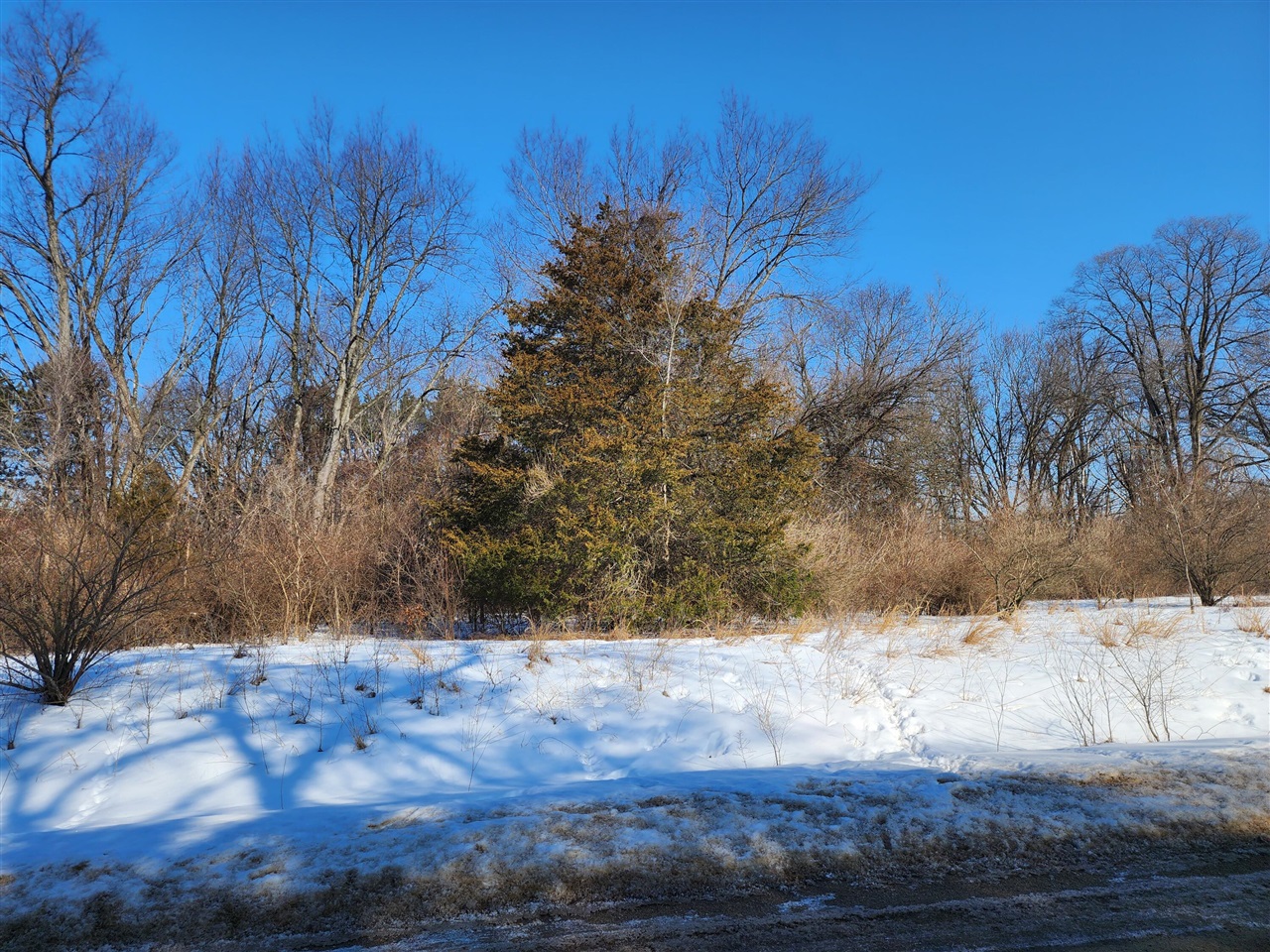 Shorewood Drive Lot 2 photo 2